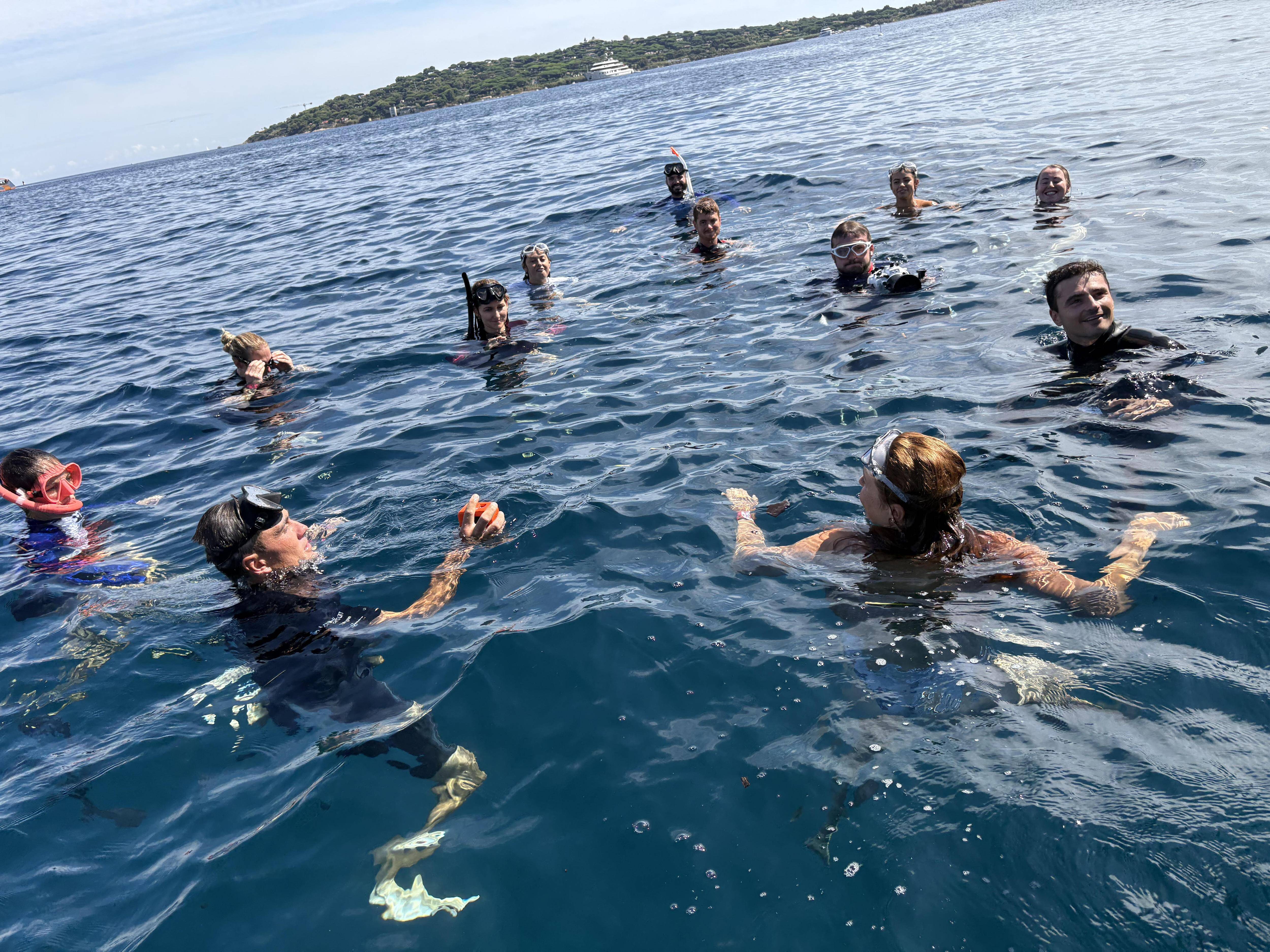 Avant le lancement du Sail GP à Saint-Tropez, les skippeurs partent en mer observer les herbiers de posidonie
