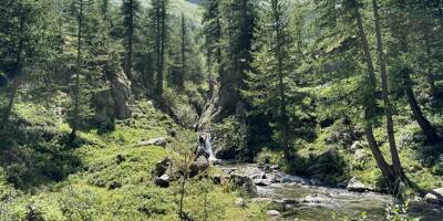 Après son alerte sur l'avenir du parc du Mercantour, la sénatrice Alexandra Borchio a reçu une réponse de l'ex-ministre François Rebsamen