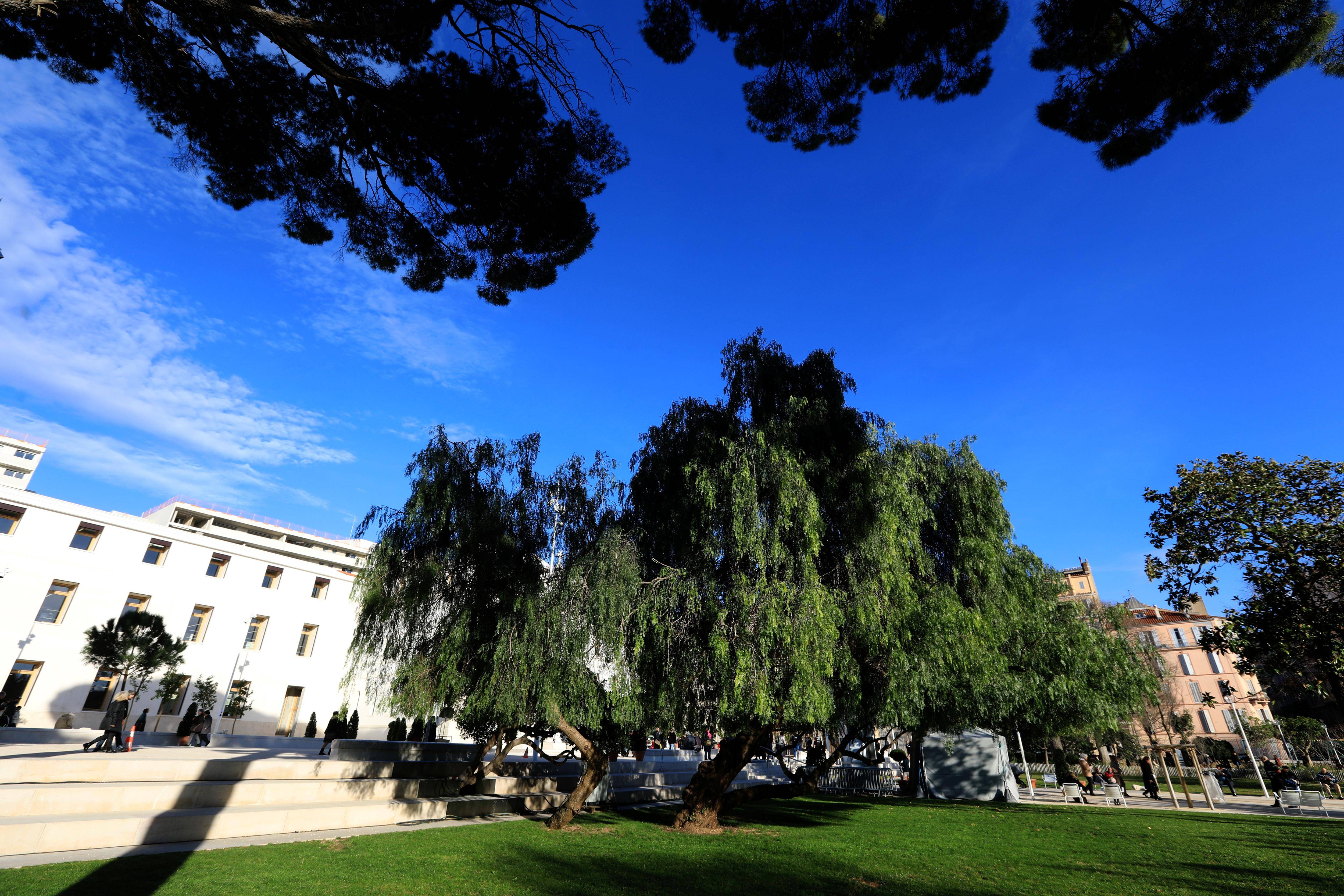 À Toulon les parcs et les jardins fermés ce jeudi après-midi à cause de la météo