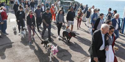"Pour une fois, c'est un événement créé en province qui aura un retentissement dans la capitale": la Marche des animaux de Nice s'exporte à Paris
