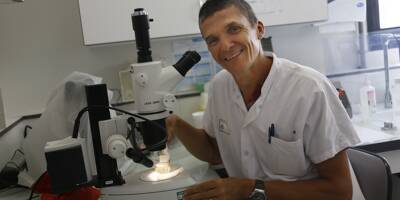 "Nous allons devoir vivre avec le chikungunya": les propositions d'un parasitologue niçois face à la progression de la maladie