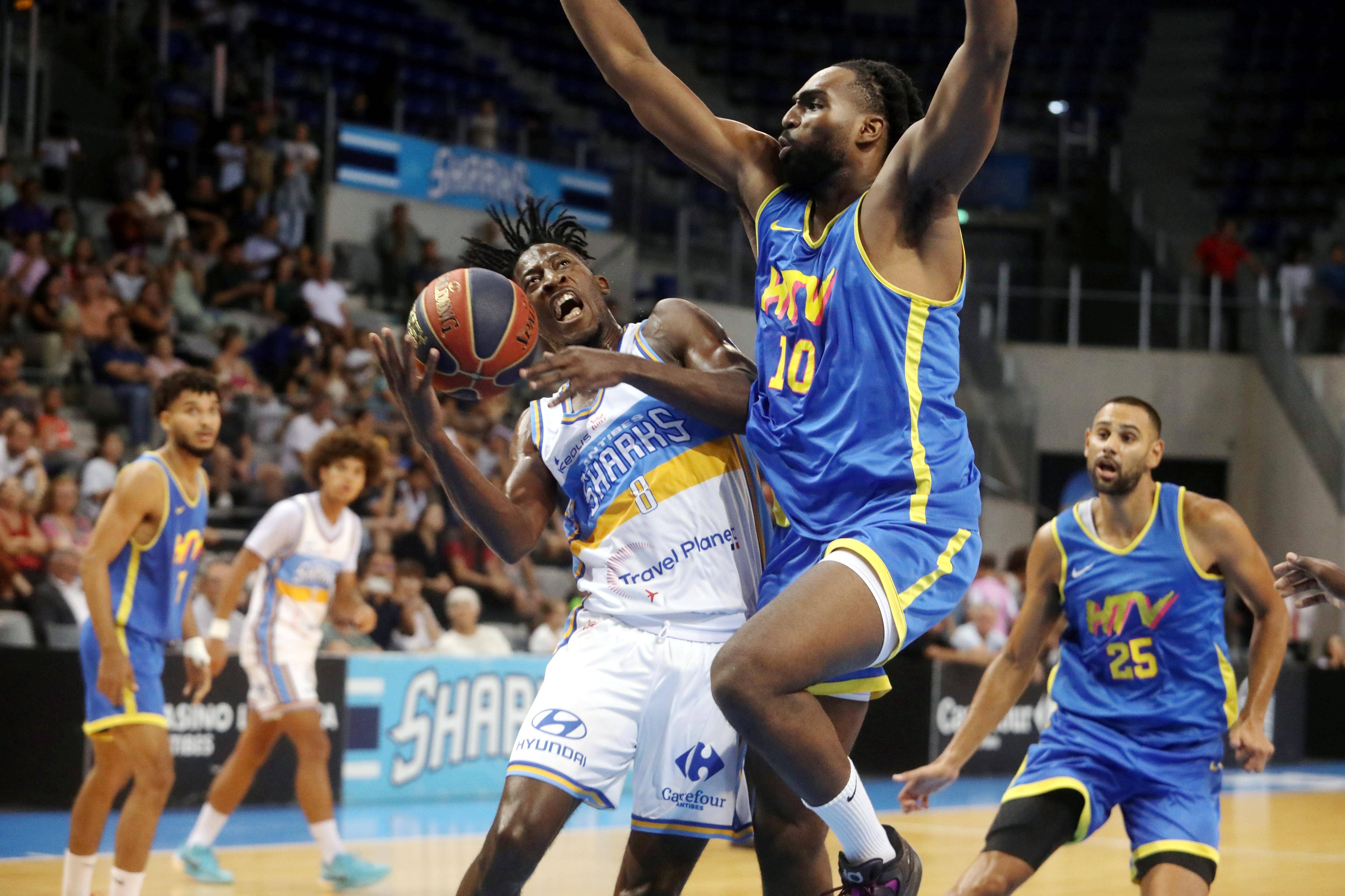 "C'est une aventure qui commence": les basketteurs du HTV lancent leur saison en Elite 2 à Reims