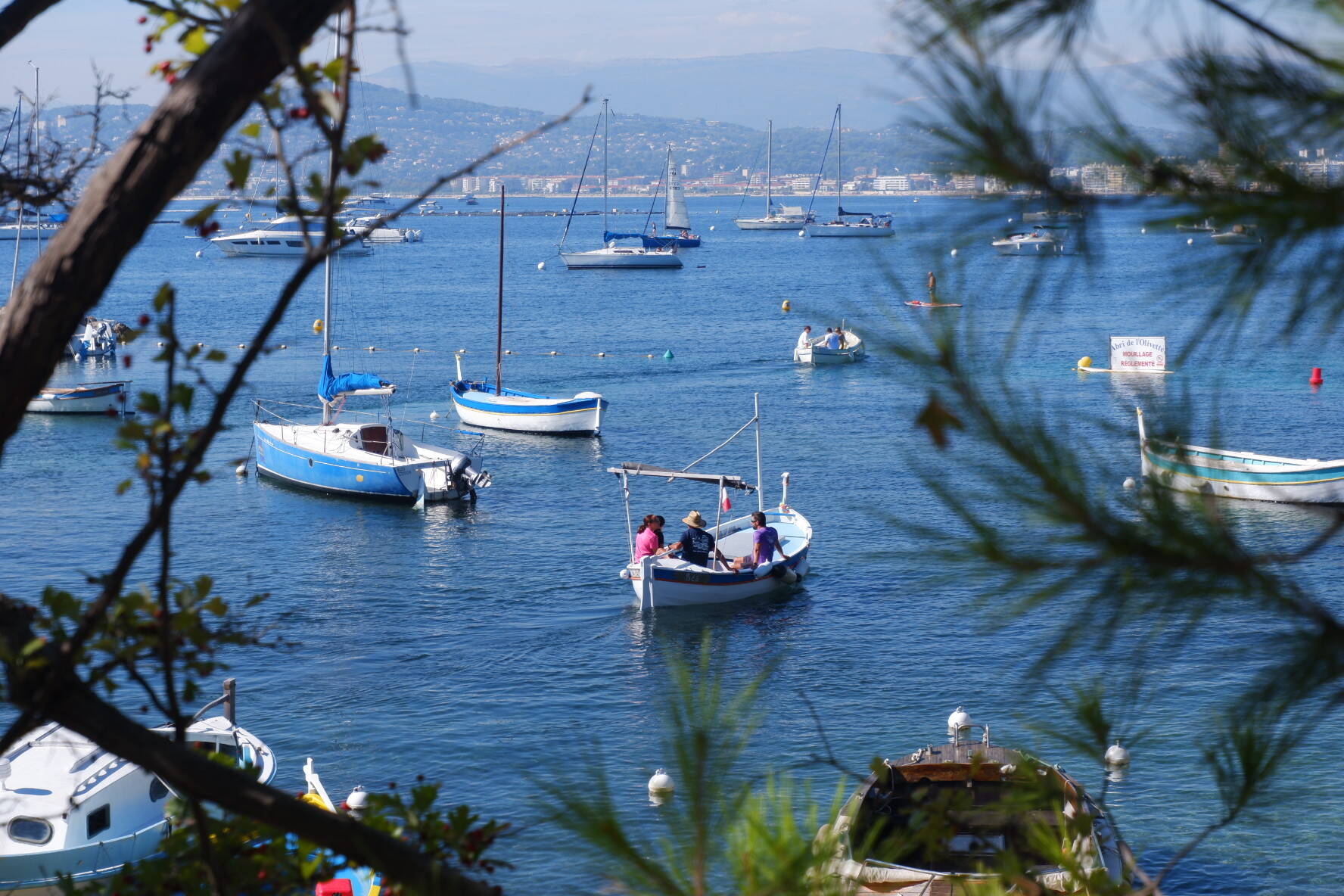 "Ici, on n'oublie tout et le temps s'arrête": à Antibes, pour les journées du patrimoine, l'histoire se (re) découvre à bord des pointus au port de l'Olivette