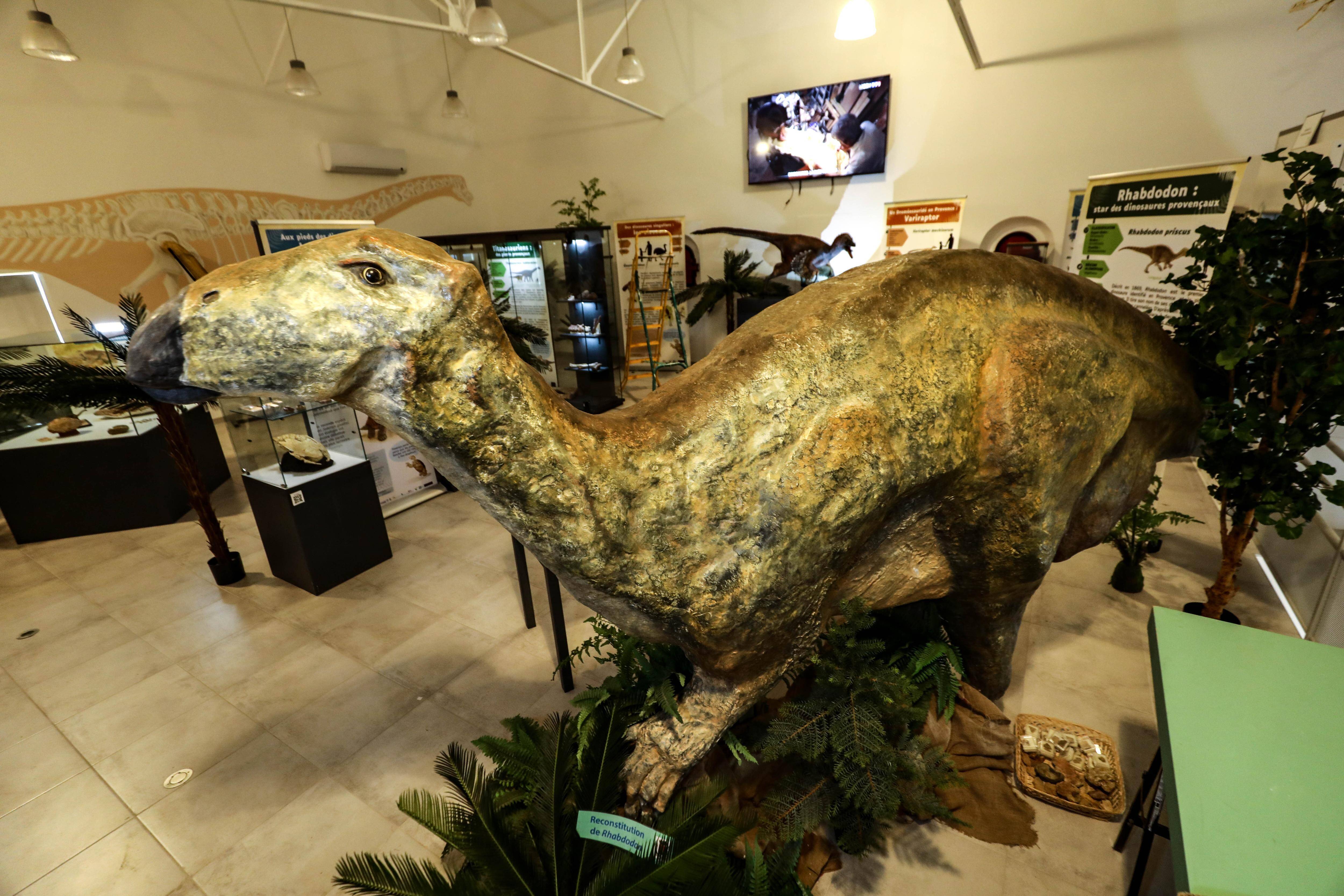 Provence Verte Verdon: un projet innovant en milieu rural? C'est le moment de se lancer