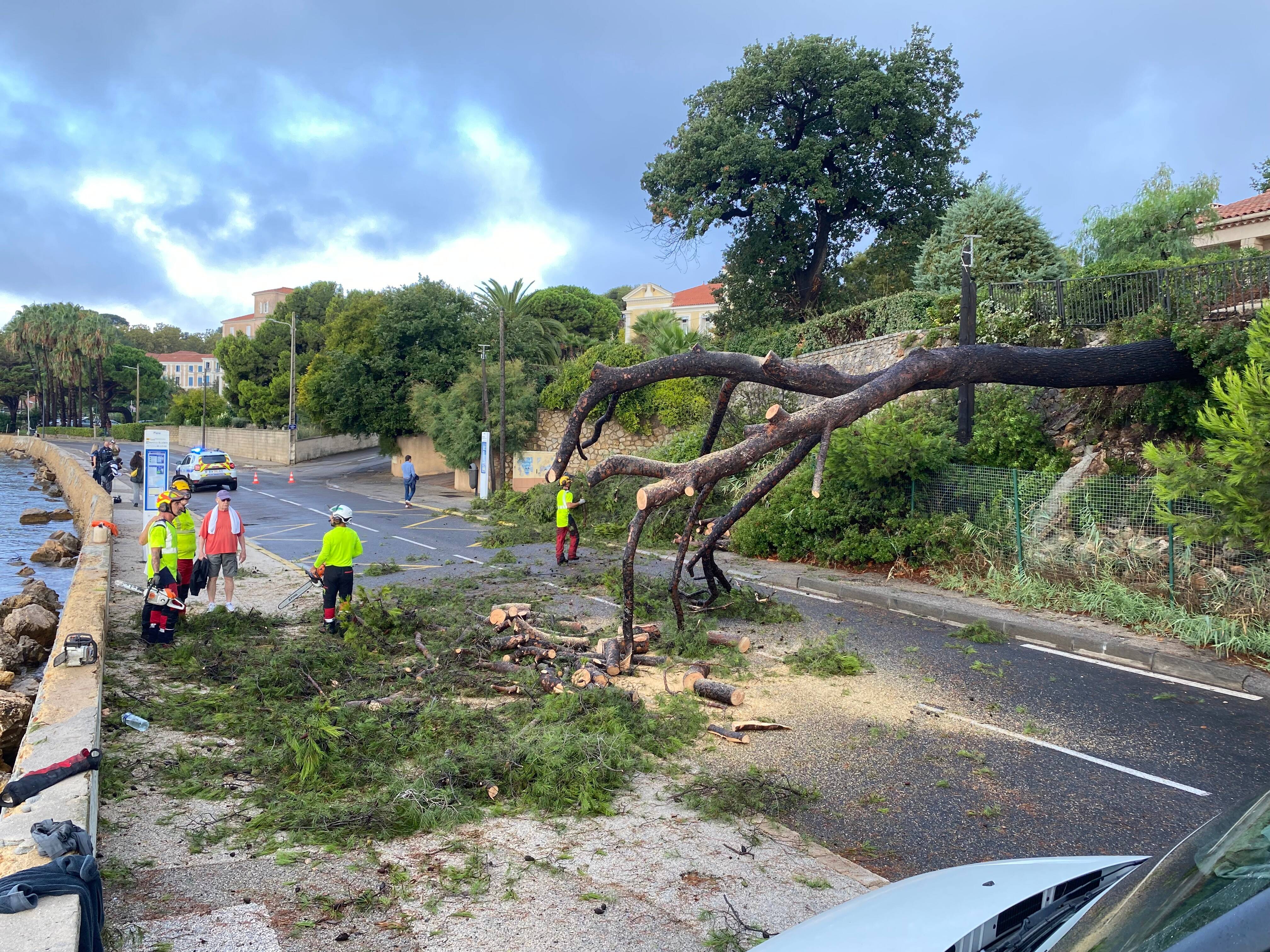 Intempéries dans le Var: à La Seyne, deux écoles inondées et au moins deux arbres à terre