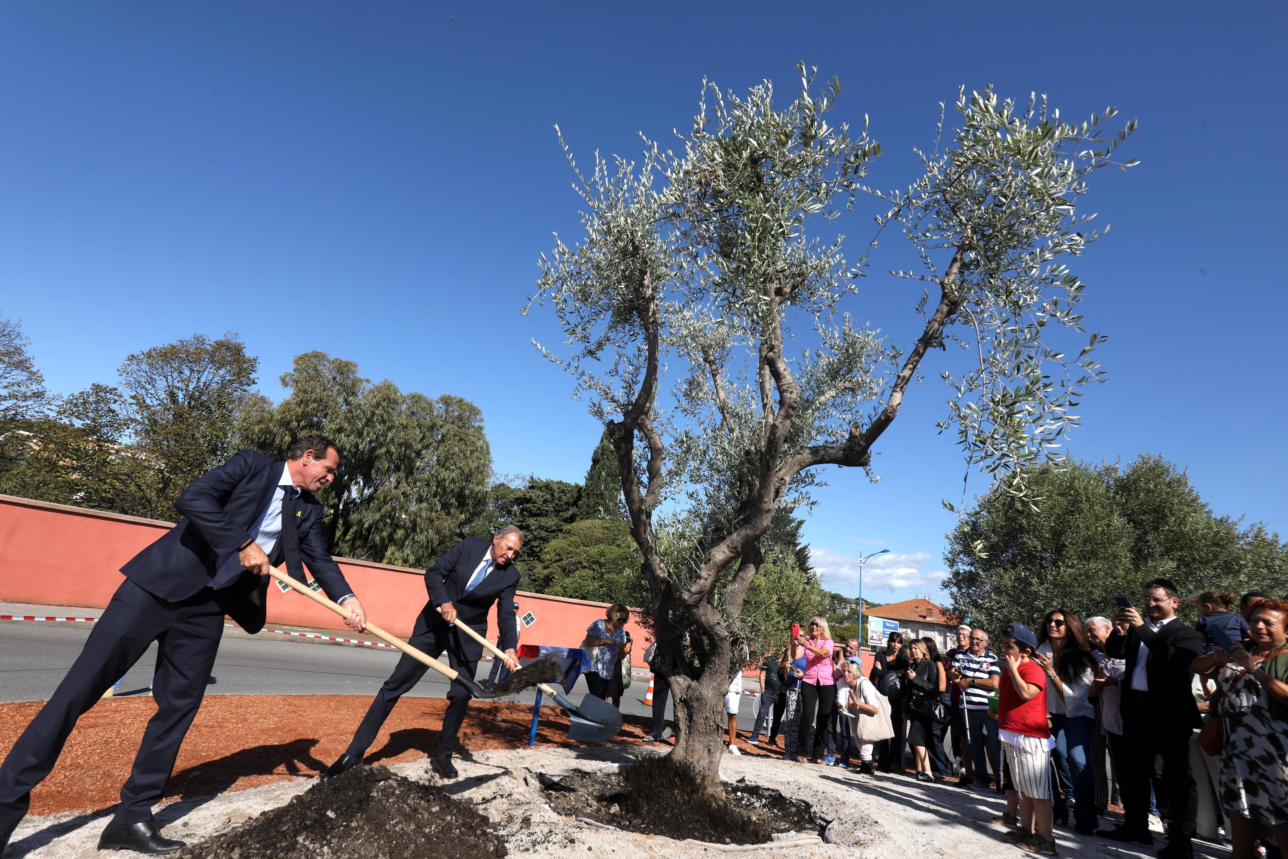 "Le maître mot c'est la résistance, quoi qu'il advienne": la Ville de Villeneuve-Loubet rend hommage à Ilan Halimi, jeune juif assassiné en 2006 et plante un olivier