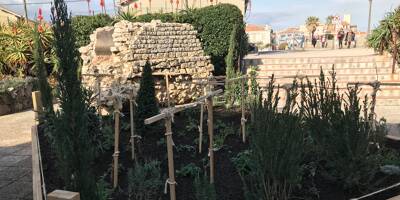 Un jardin a poussé devant le musée d'archéologie d'Antibes et il a son utilité