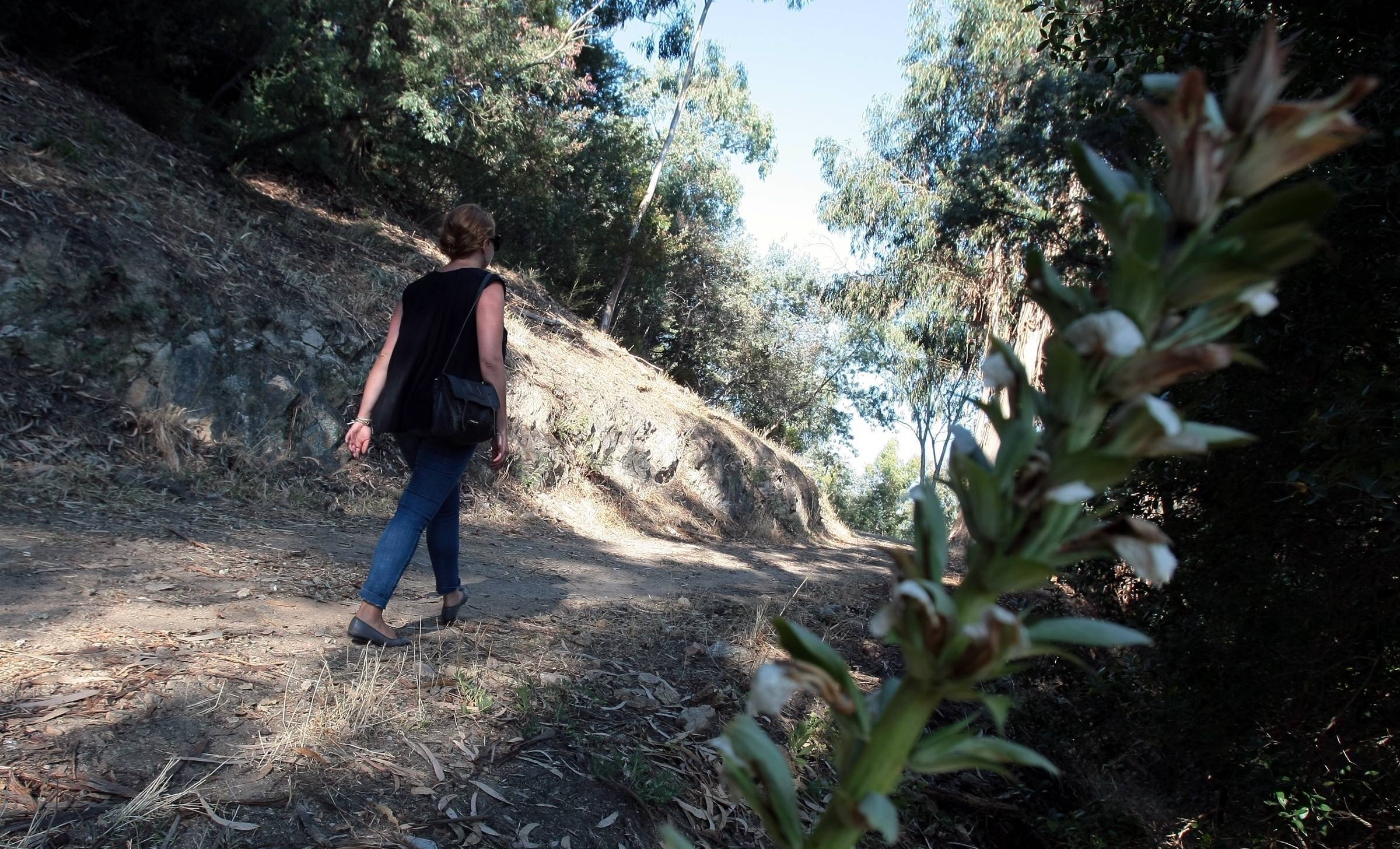 Balades, visites, sport en plein air... Nos idées de sorties (autorisées) pour votre second week-end confiné dans l'ouest des Alpes-Maritimes
