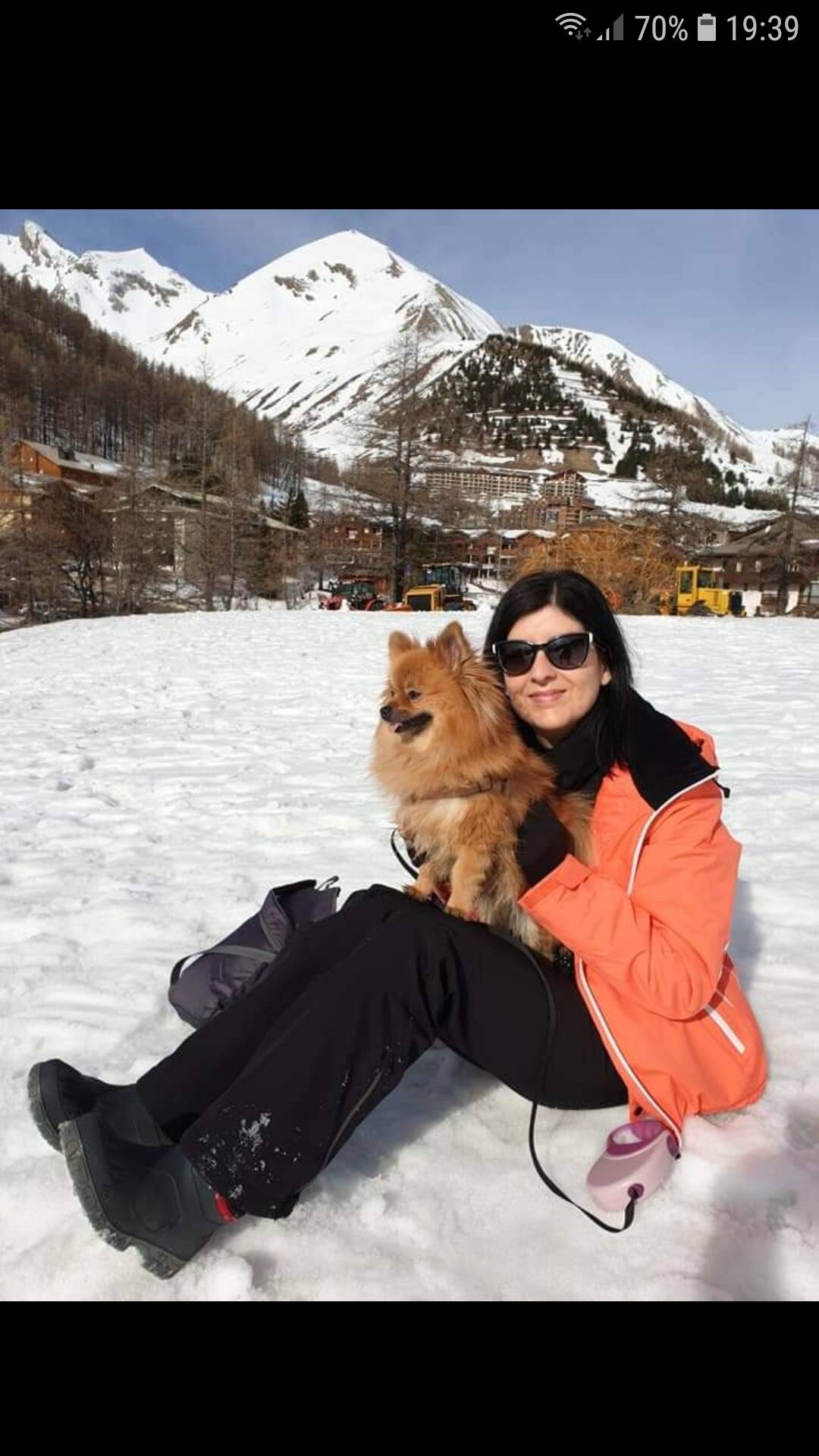 Des chiens de traîneau ont dévoré leur petit chien, une famille de Menton entre tristesse et colère