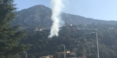 Une quinzaine de pompiers engagés sur un incendie à Castellar
