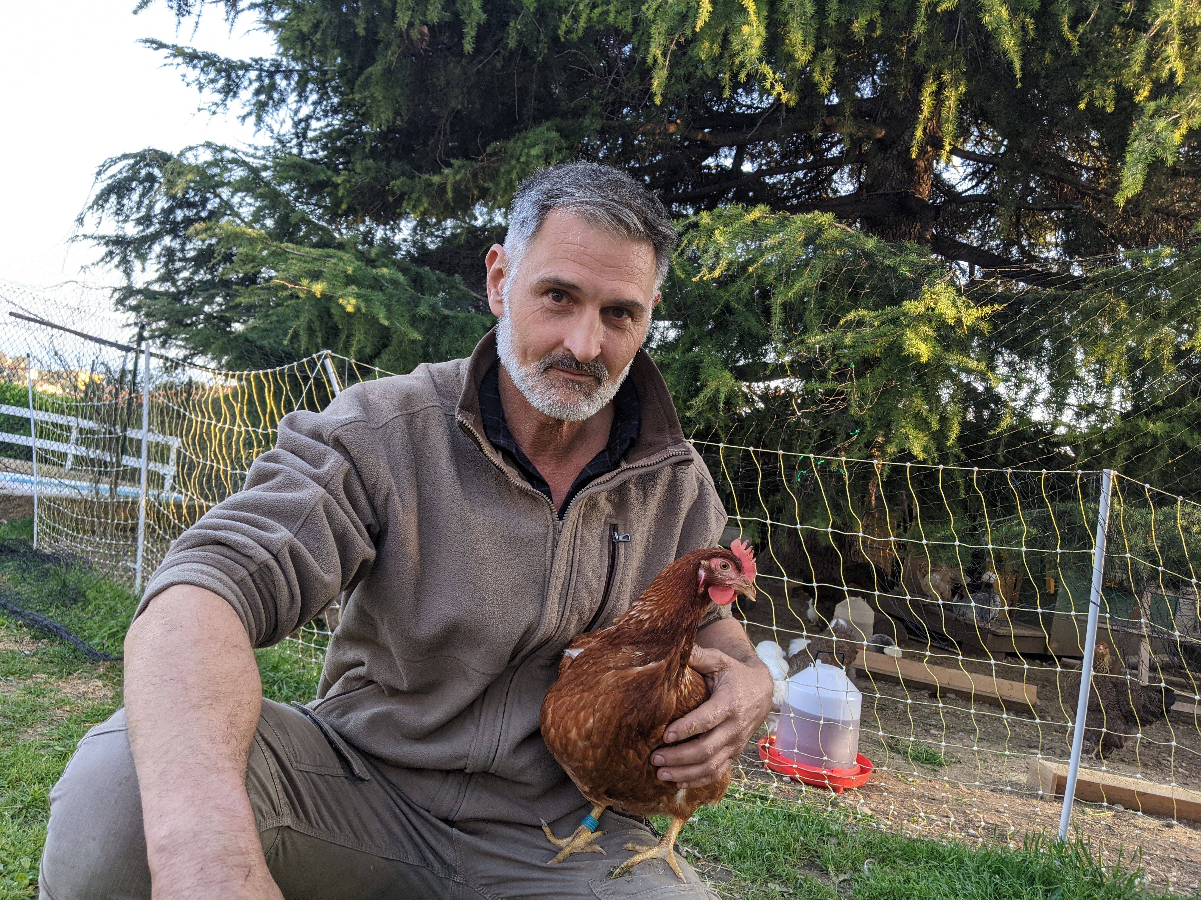 Des poules dans le jardin en ville? Race, oeufs, poulailler, alimentation... Tout ce qu'il faut savoir avant d'adopter une poule