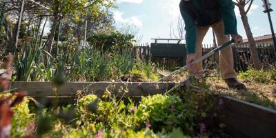 Le potager Saint-Martin fait germer les envies de jardin au Plan-de-la-Tour
