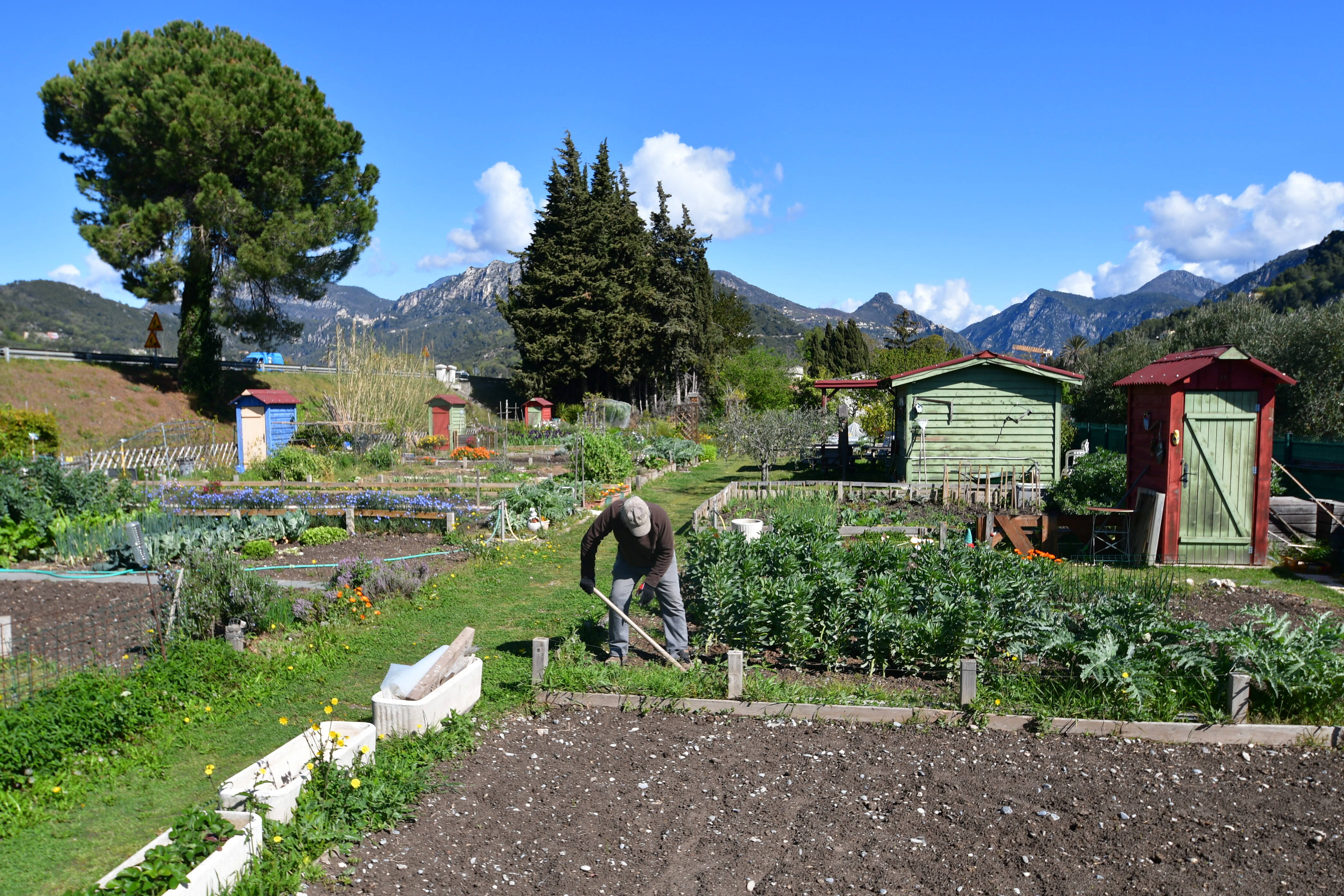 Les jardins partagés cultivent aussi les liens sociaux à Saint-Martin-du-Var