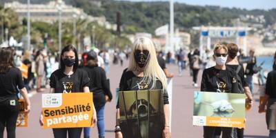À Nice, l'association One Voice sensibilise contre l'expérimentation animale