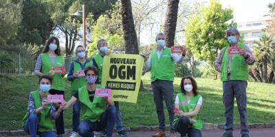 À Nice, un rassemblement de Greenpeace pour alerter contre les OGM