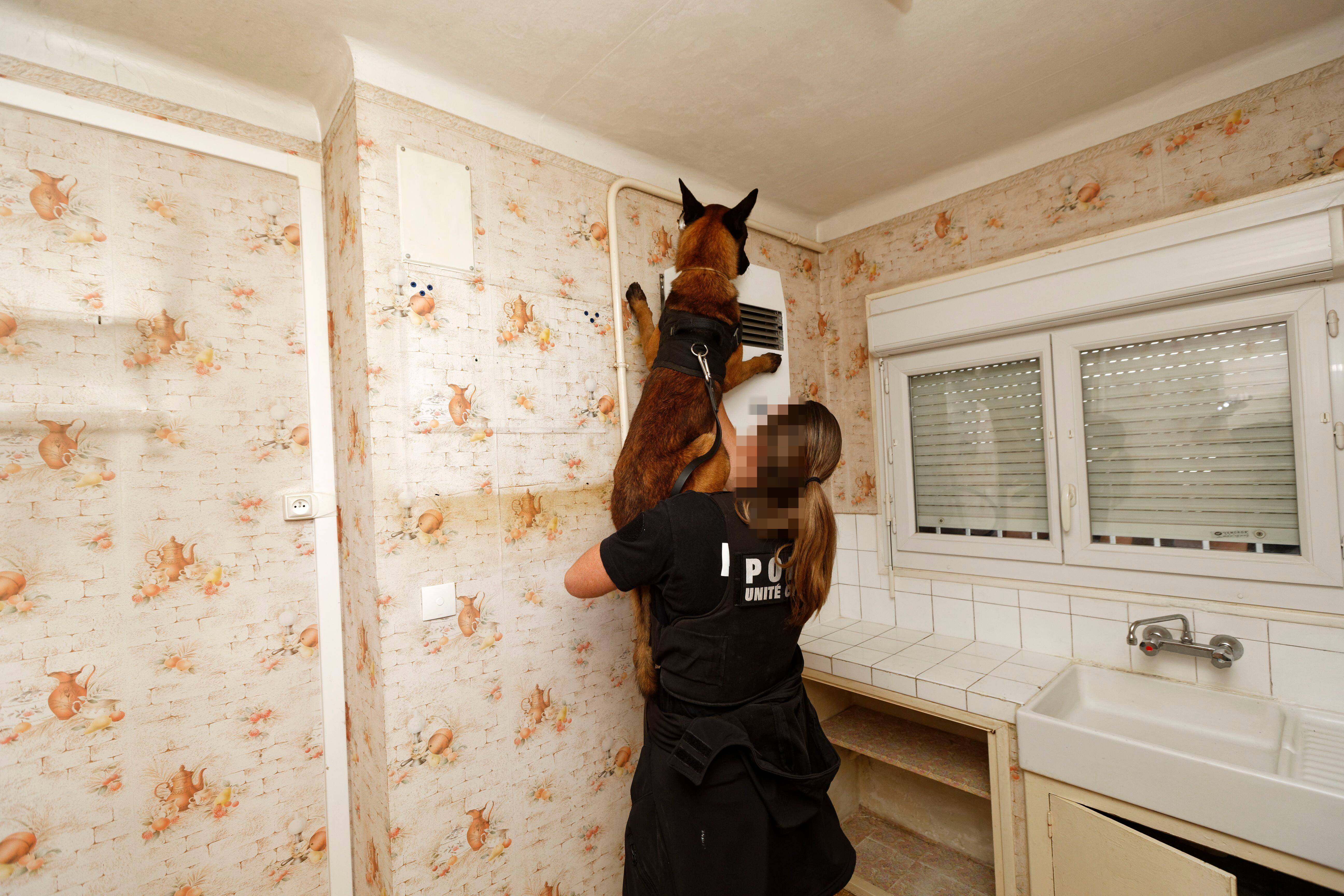 "Voilà comment on bousille sa vie": ils sont condamnés pour un trafic de stups à La Garde