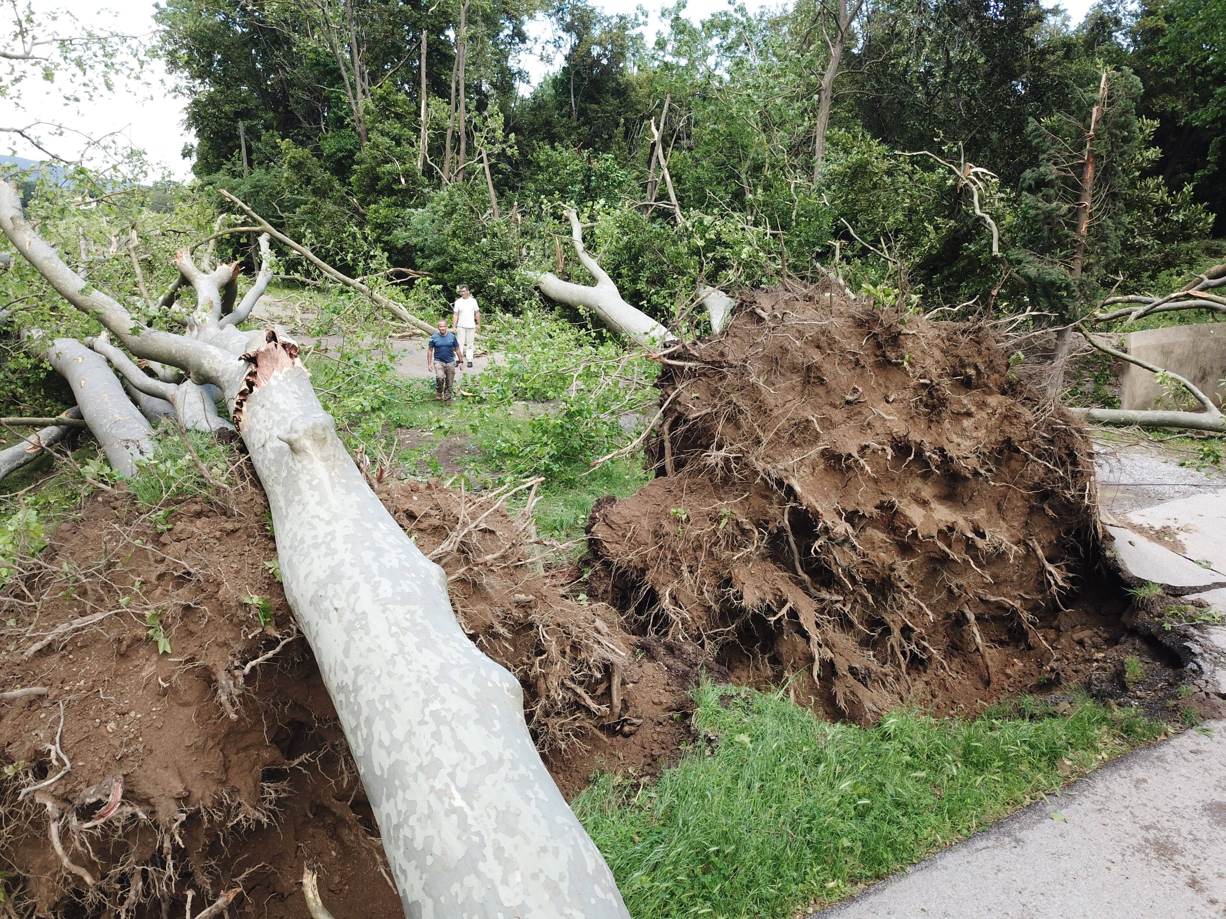 La tornade de la semaine dernière laisse une grosse facture, les dégâts ne sont pas pris en charge