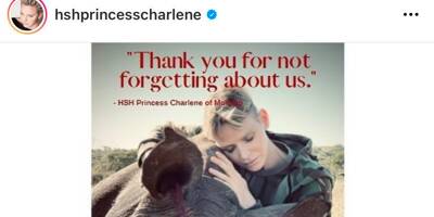 La princesse Charlène engagée contre le braconnage des rhinocéros