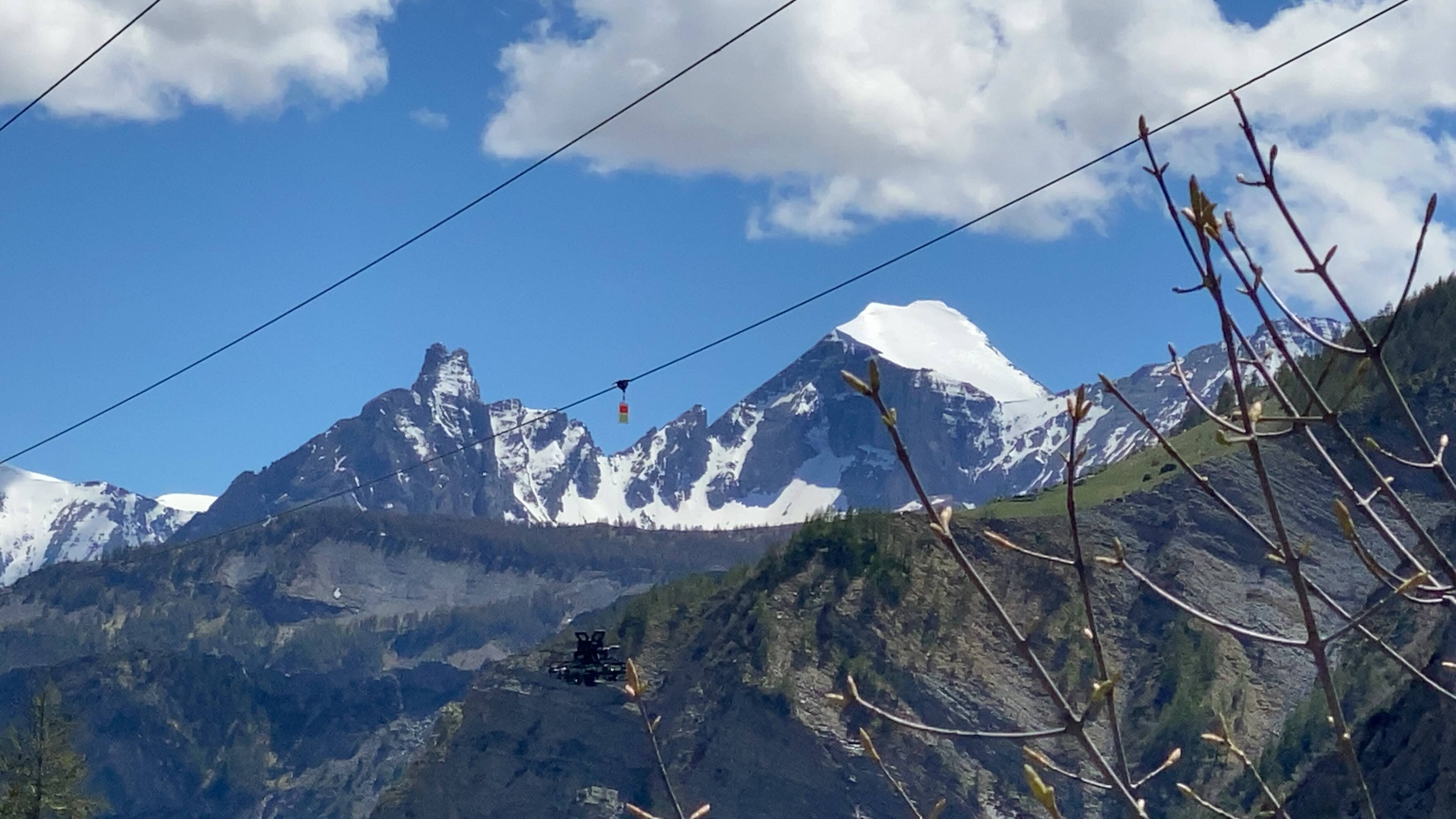 "Ils risquent la collision"... Un drone pose 230 balises sur une ligne électrique pour protéger les oiseaux dans le Mercantour