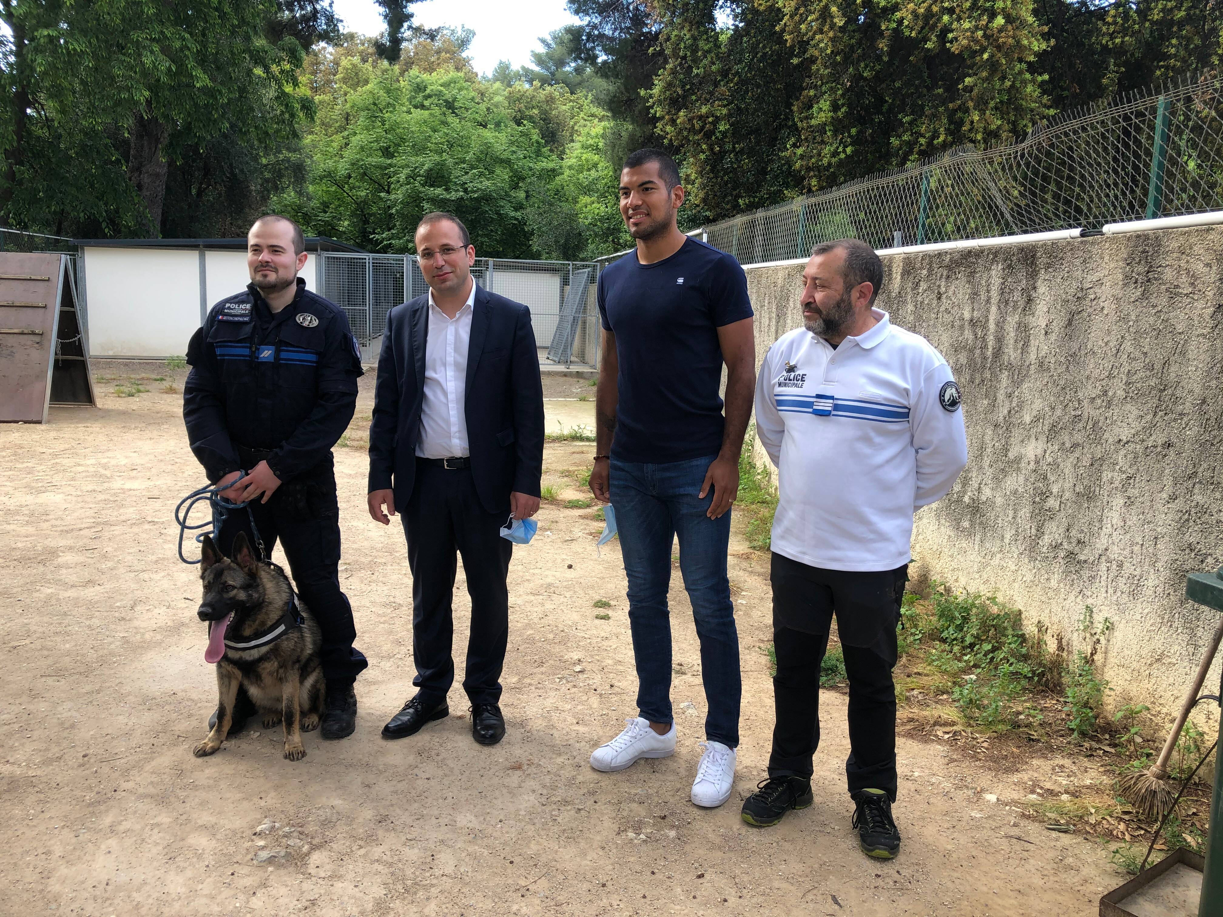 VIDEO. Ringo, le chien de Walter Benitez, le gardien de l'OGC Nice, rejoint les rangs de la police municipale