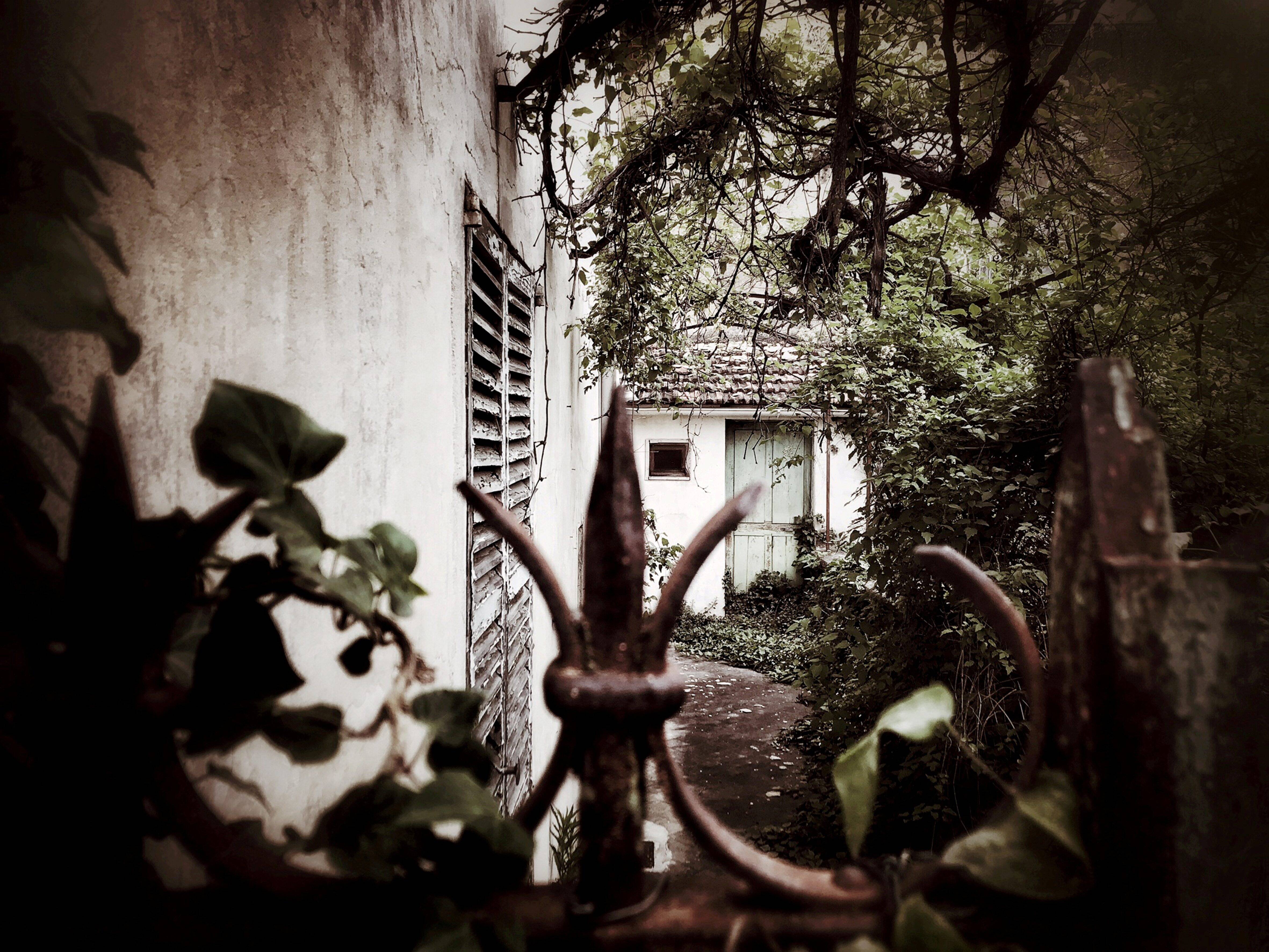 Cet Antibois affirme vivre "avec des phénomènes paranormaux" chez lui, il veut partager son expérience