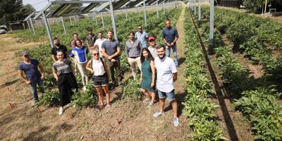 À La Crau, des panneaux photovoltaïques intelligents pour protéger les récoltes