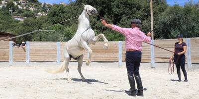 L'un des meilleurs dresseurs de chevaux français anime un stage de dressage à Saint-Laurent-du-Var