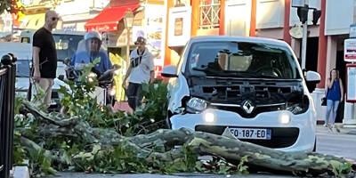 Une branche s'écrase sur un véhicule municipal à Villefranche-sur-Mer