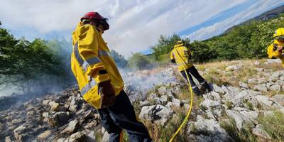 L'incendie qui a ravagé 17 hectares au Col de Vence serait d'origine humaine, la gendarmerie lance un appel à témoins