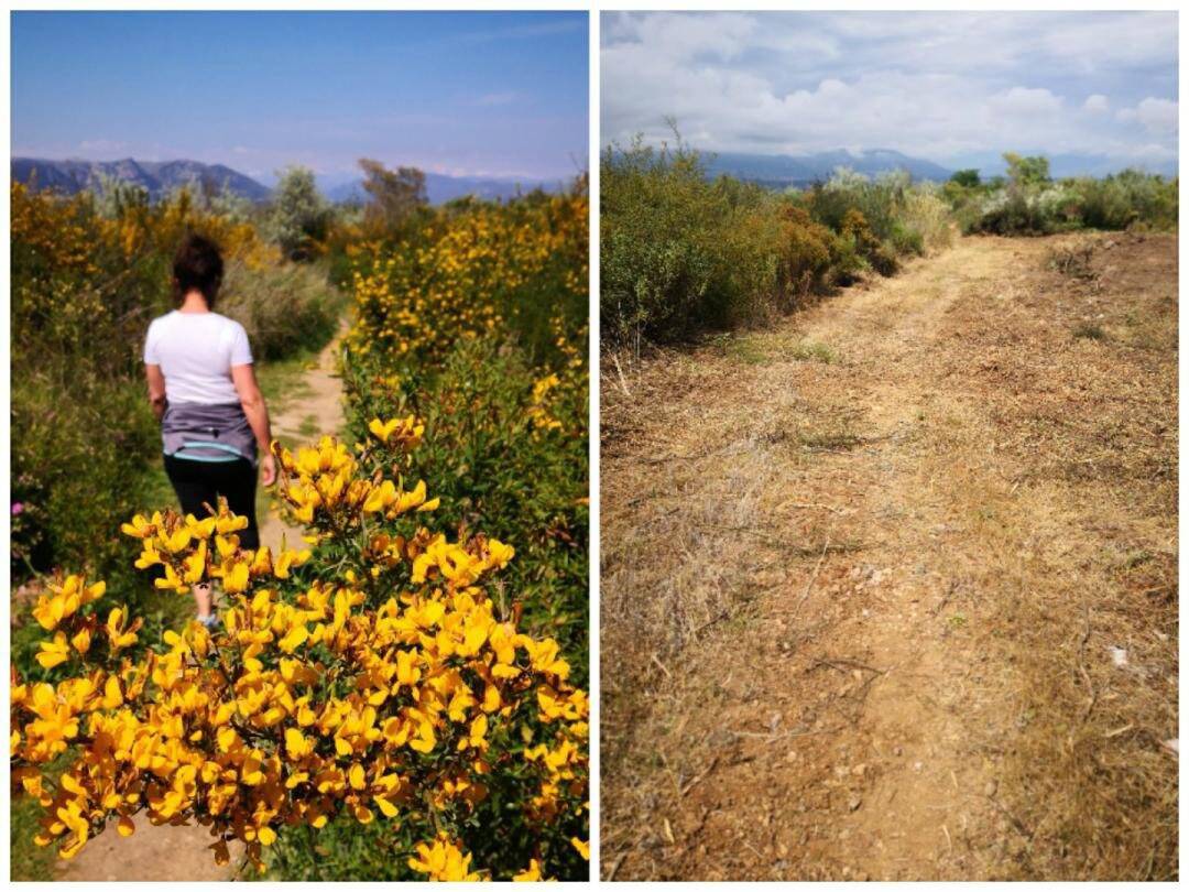 Un sentier de randonnée de la Côte d'Azur a-t-il été élargi au bulldozer en toute illégalité? Une plainte déposée