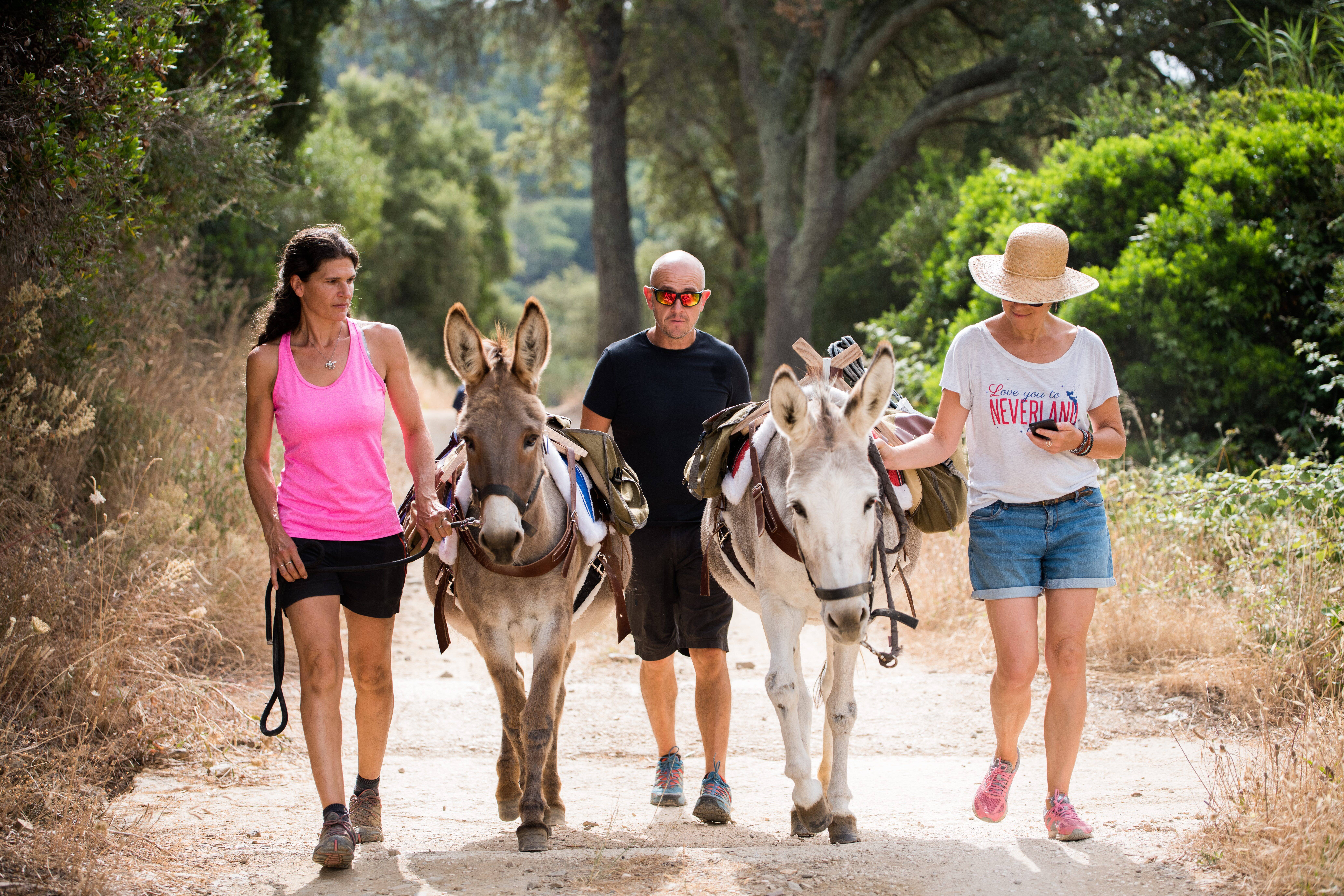 On a testé pour vous... La balade avec un âne dans le massif des Maures