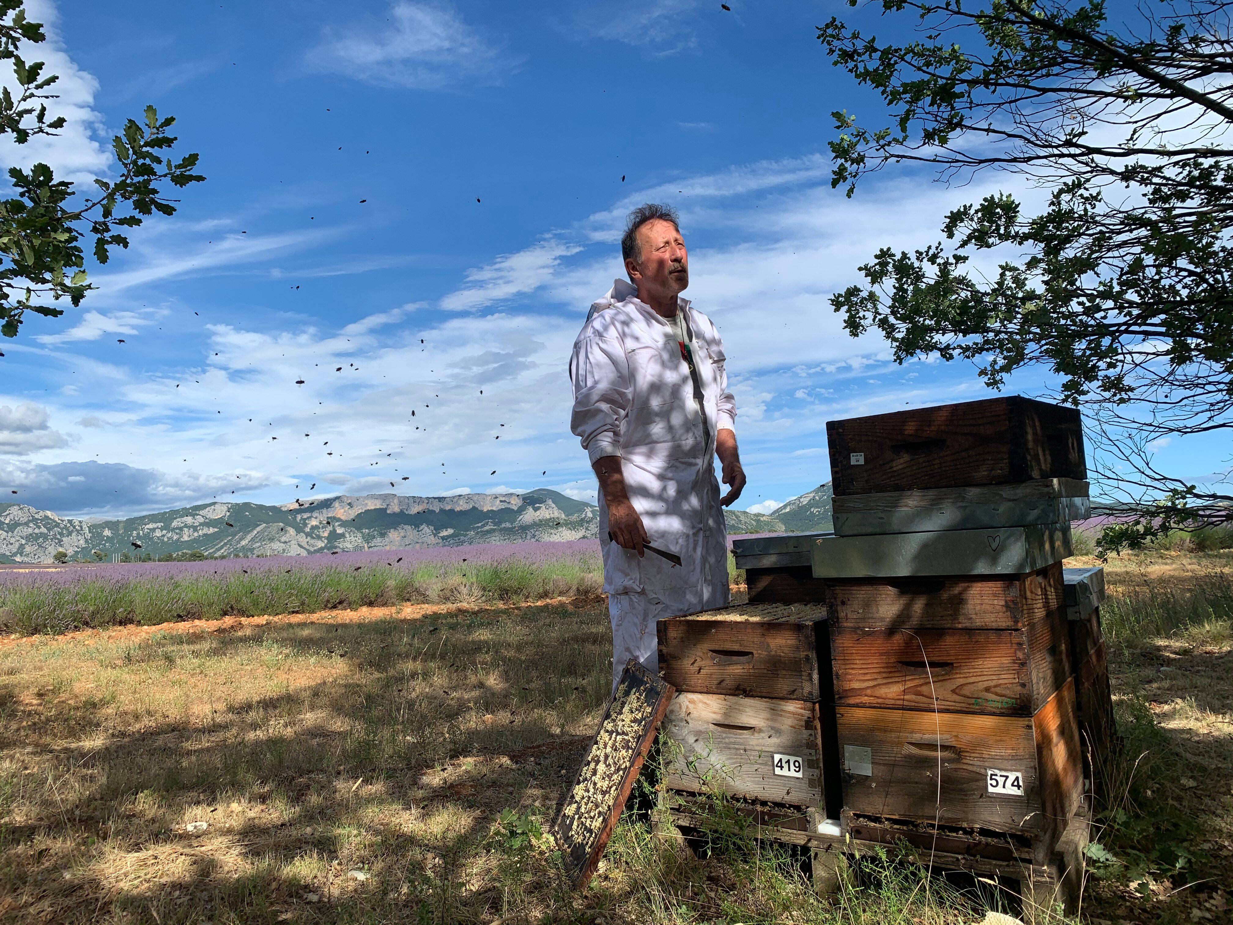 "La filière se porte bien", assure un apiculteur azuréen à veille de la Fête du miel de Mouans-Sartoux
