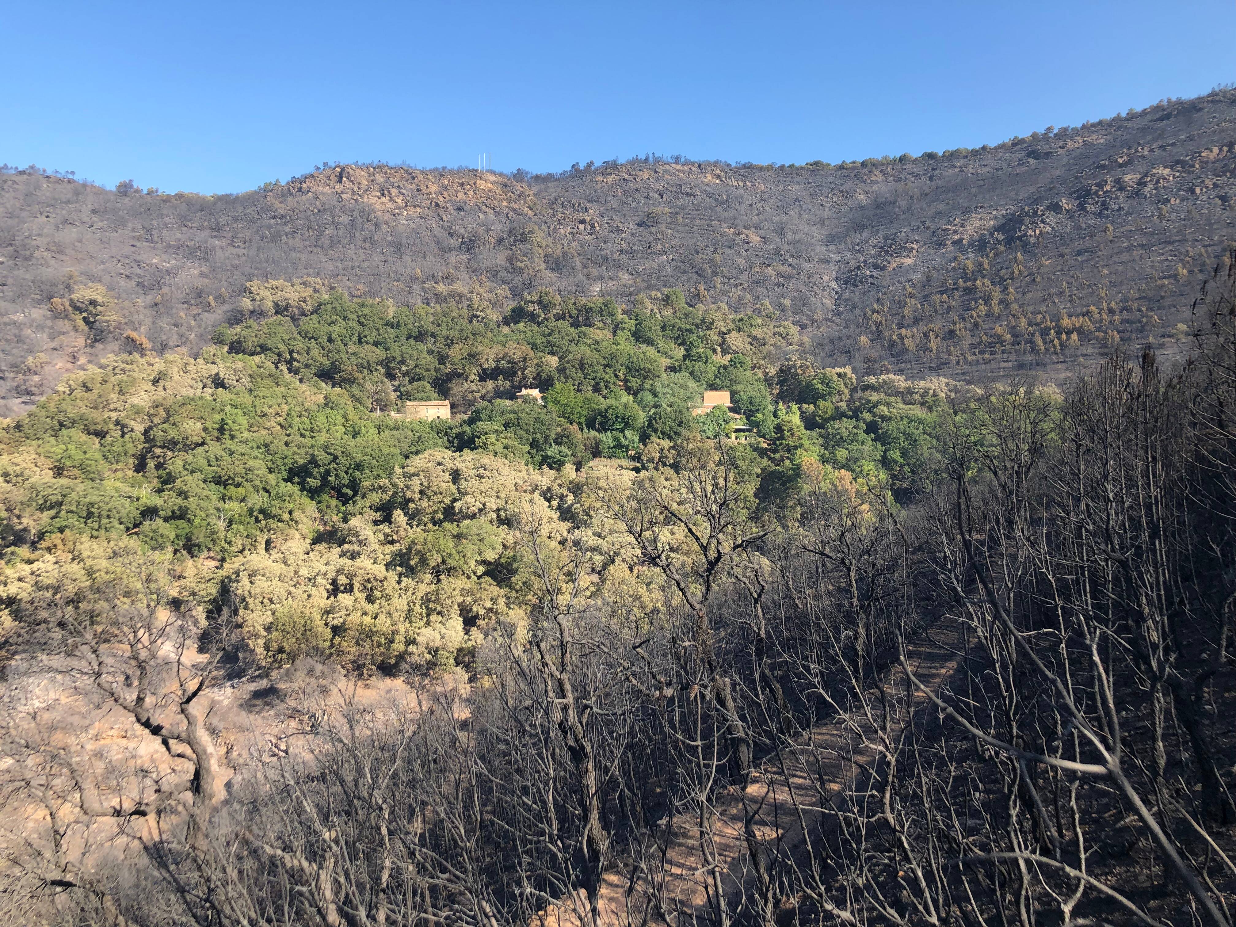 Incendie du Var: comment à quatre et avec l'expérience d'un octogénaire, ils ont sauvé le hameau de Val d'Aubert