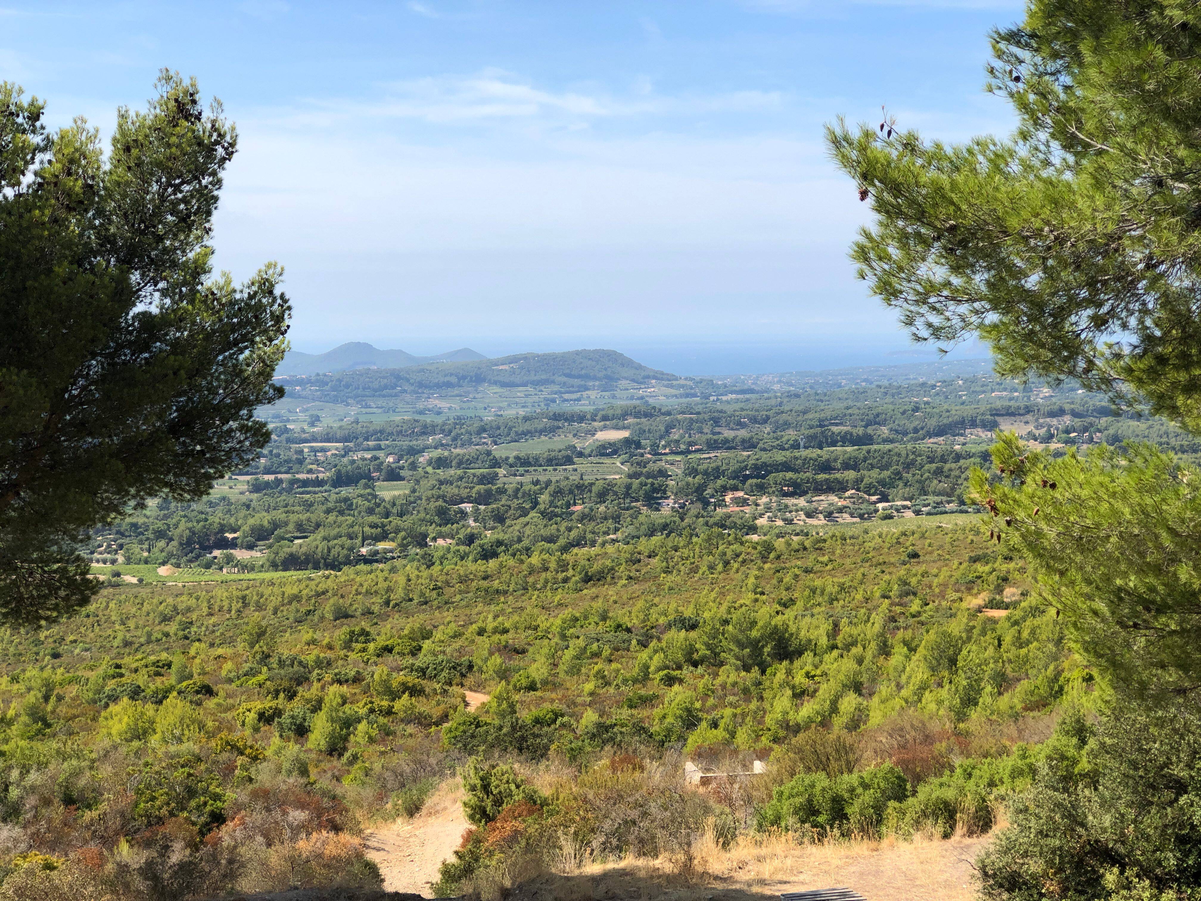 [EN IMAGES] 20 ans après les incendies monstres de 2001, les traces du feu toujours visibles dans l'Ouest-Var
