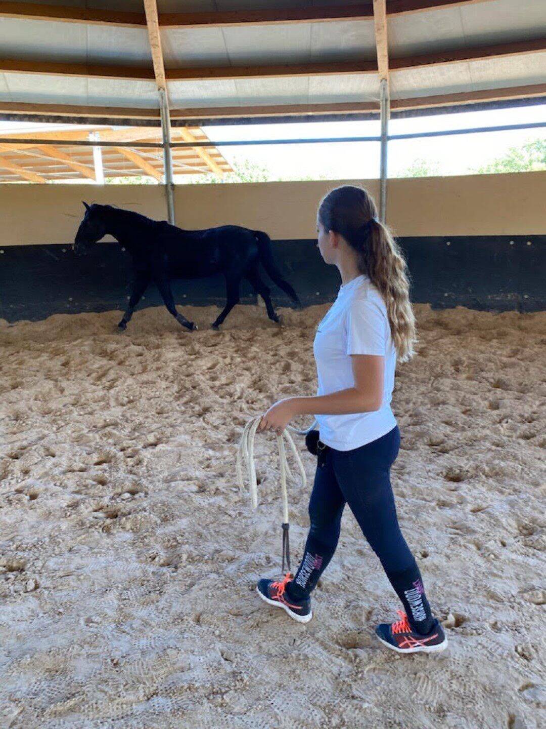 Pass sanitaire: au centre équestre de La Stèle, à Saint-Cézaire-sur-Siagne, 30 % des ados désinscrits