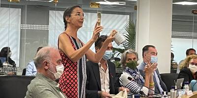 En conseil municipal, les écolos critiquent la politique du maire de Nice et lui offrent un pot de peinture verte