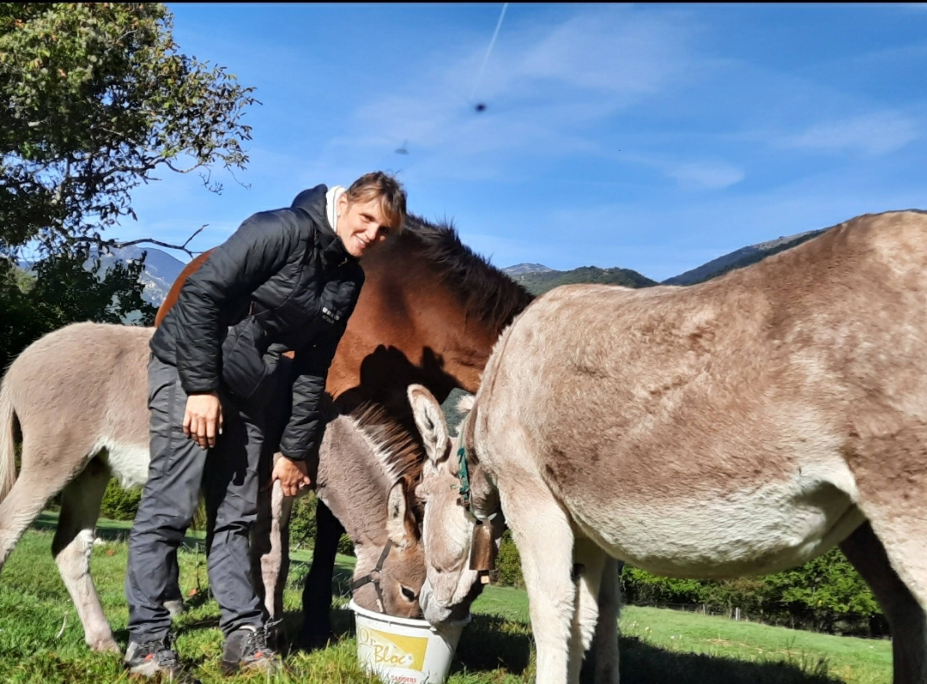 Produits au lait d'ânesse, fruits bio et maraîchage... La foire agricole est de retour à Puget-Théniers
