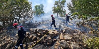 18 hectares ravagés cet été, 100 pompiers mobilisés pendant 3 jours... les incendiaires du Col de Vence condamnés