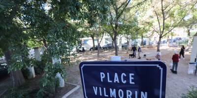 Après plus de quarante ans, le square Vilmorin de Juan-les-Pins va enfin être rénové