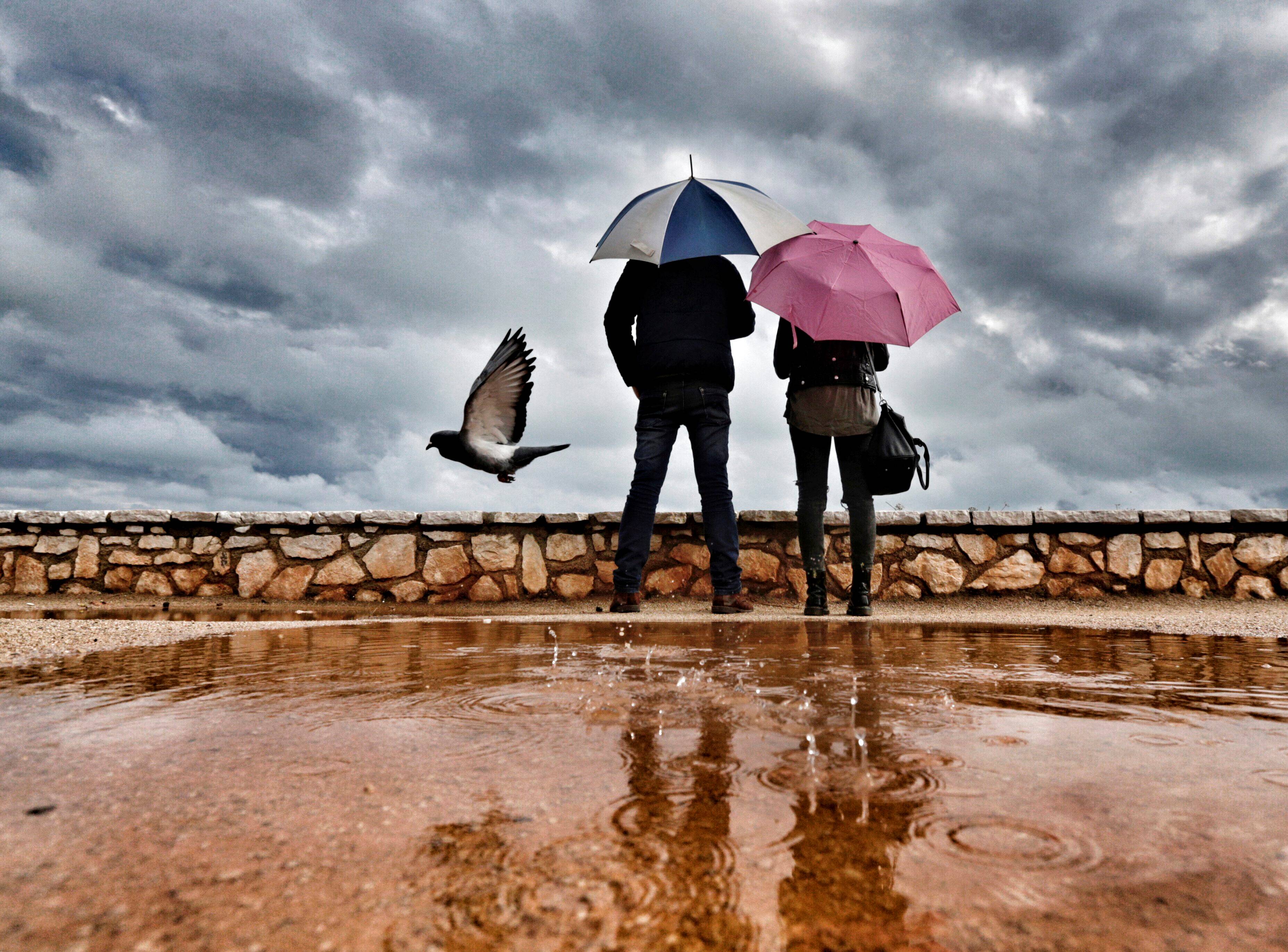 Fermé à cause des intempéries, le sentier du littoral d'Antibes pourrait rouvrir dans l'après-midi ce lundi