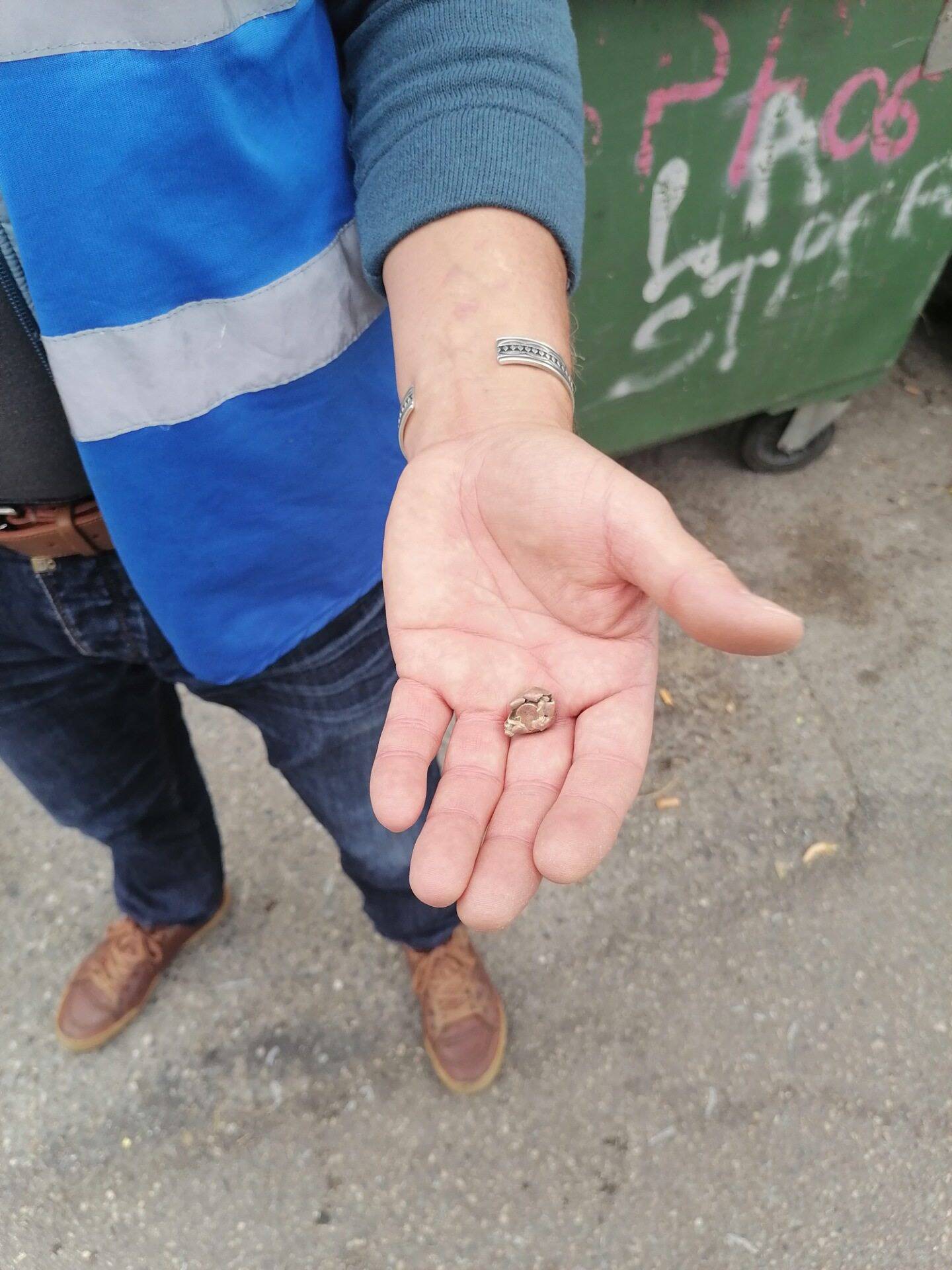 Battue aux sangliers en pleine ville: le maire de Saint-André-de-la-Roche défend son fils qui menait l'opération