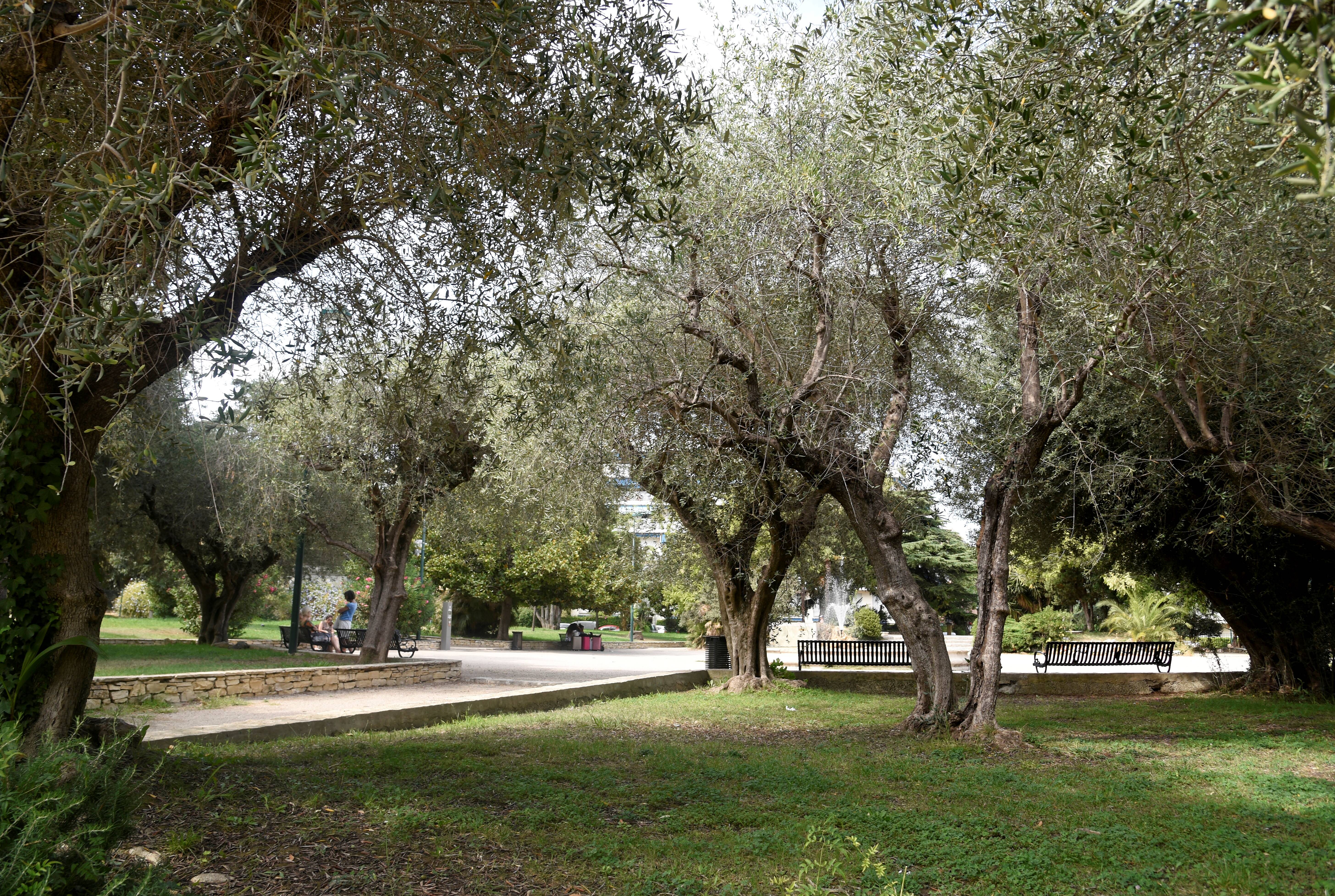 Vent violent: les squares de Cannes fermés entre midi et 16 heures ce lundi