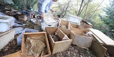 Des dizaines de cadavres de chats découverts dans une maison à Nice Nord