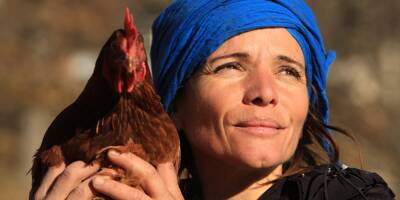 Dans le pays grassois, les centaines de poules de Malika Amari sont choyées et elles le lui rendent bien