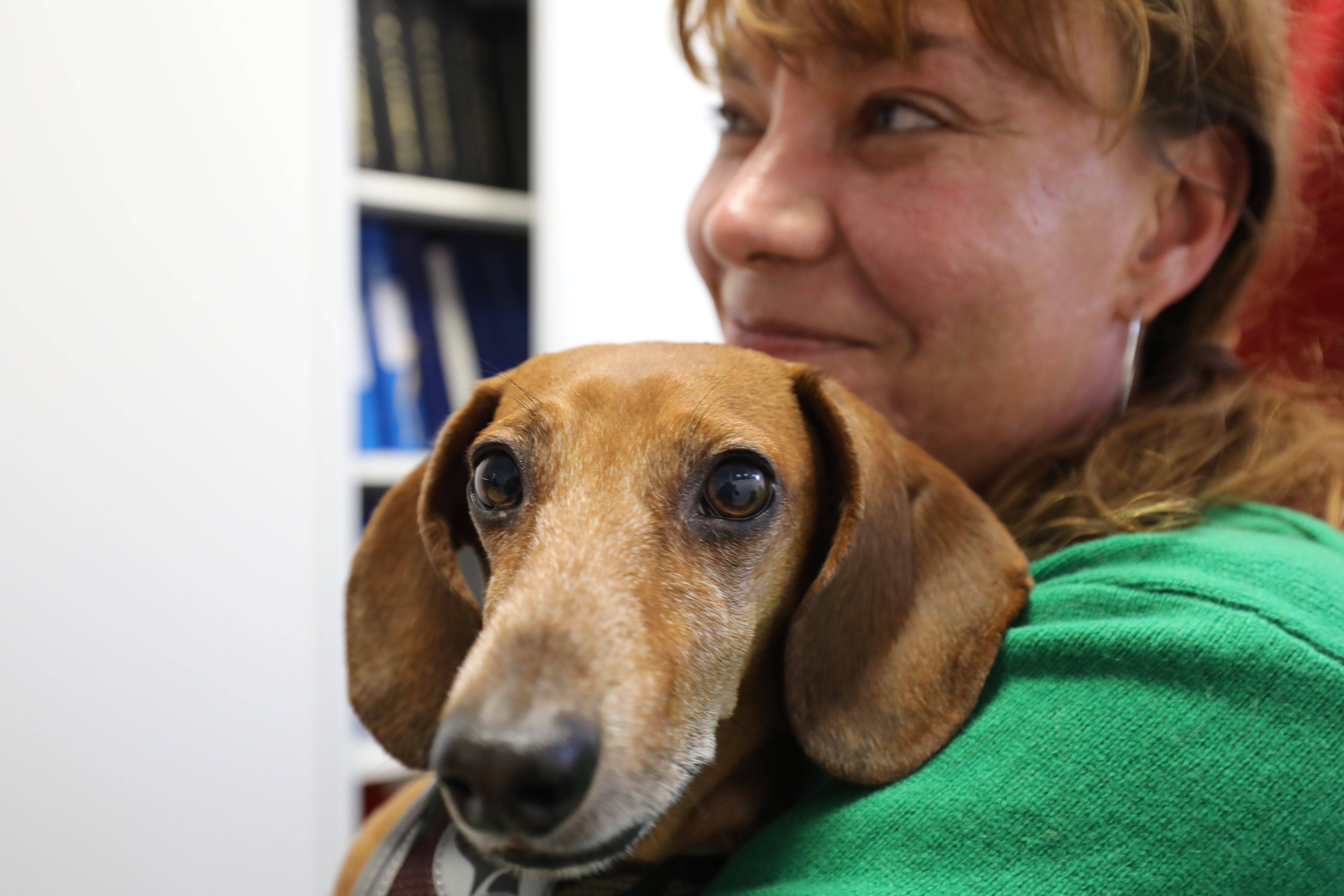 "Sa présence entraîne de la bonne humeur"... A la mairie de Nice, les employés peuvent venir travailler avec leur animal