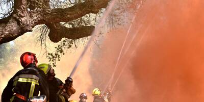 Cinq hectares de forêt partis en fumée à Valdeblore, ce samedi 26 février