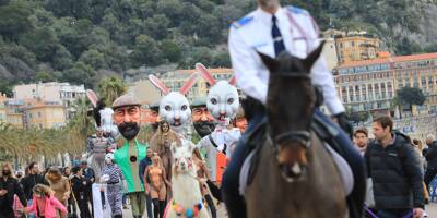 En images : plusieurs centaines d'animaux ont défilé à Nice, ce dimanche matin