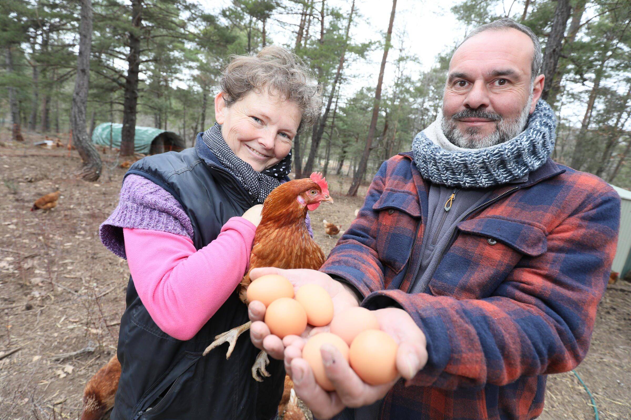 Des poules, des arbres fruitiers, une nouvelle vie... On vous raconte la reconversion de ce couple de Bretons sur la Côte d'Azur