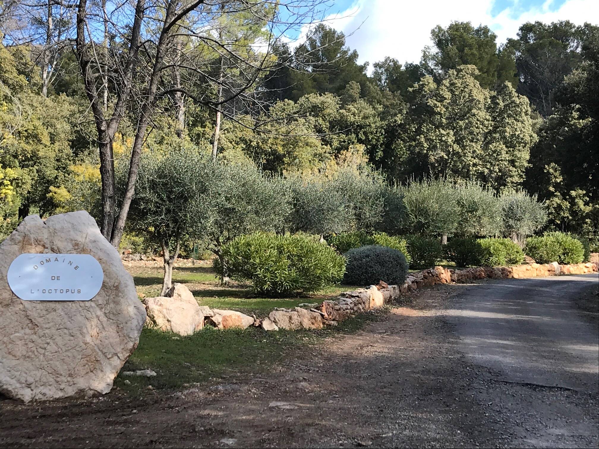 Mega parties at the Octopus estate in Draguignan: residents at the end of their rope