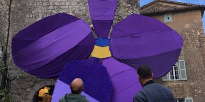 Violette XXL, décorations... Tourrettes-sur-Loup se prépare au retour de la fête des violettes